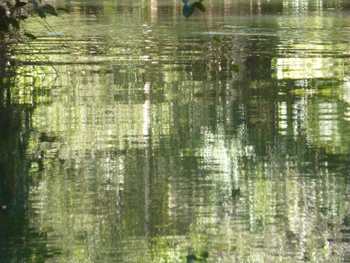 m_P1020005.jpg