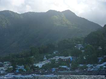m_P1020072.jpg