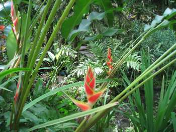 m_IMG_4791.jpg