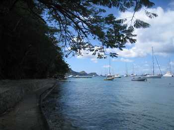 m_IMG_4820.jpg