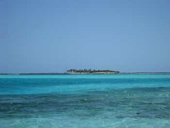 m_IMG_4836.jpg