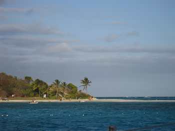 m_IMG_4828.jpg