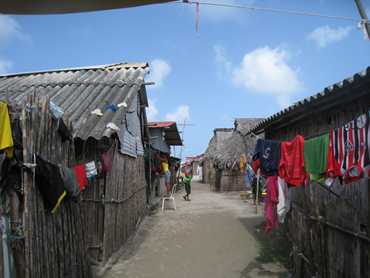 m_IMG_4880.jpg