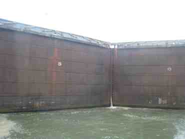 m_IMG_5010.jpg