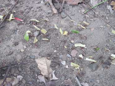 m_IMG_5140.jpg