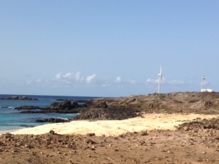 image4.JPG