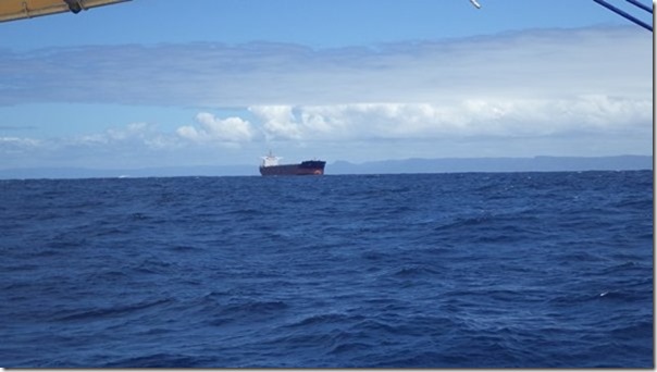 m_IMGP2011