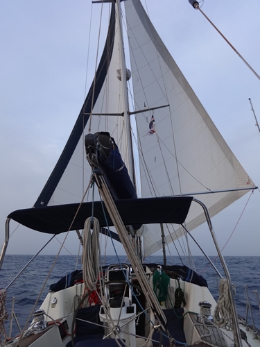 Description: Description: C:\Users\NickM\Pictures\Sailing\2015\ARC+\Small blog\m_DSC02771.jpg