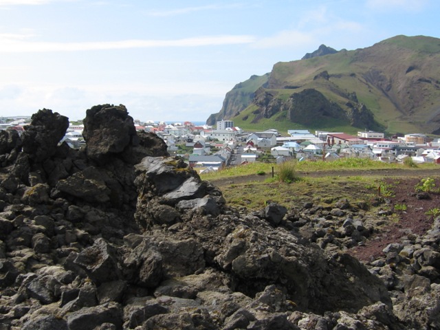 The lava fields east of Heimaey dating from 1973