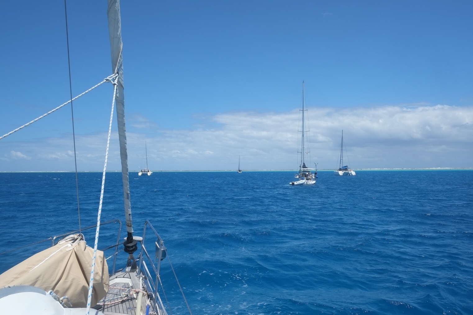 image3.JPG