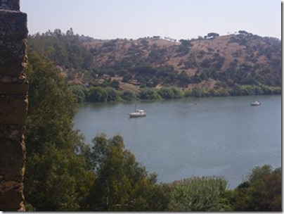 m_IMGP0812
