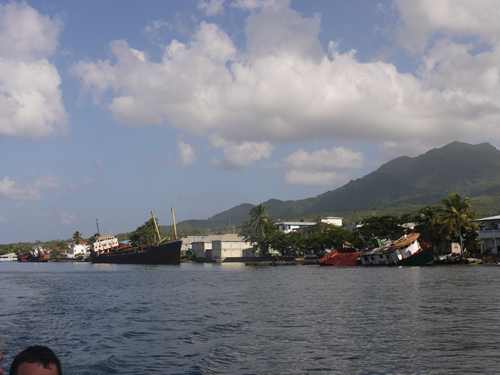 m_P1000942.jpg