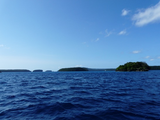 image1.JPG