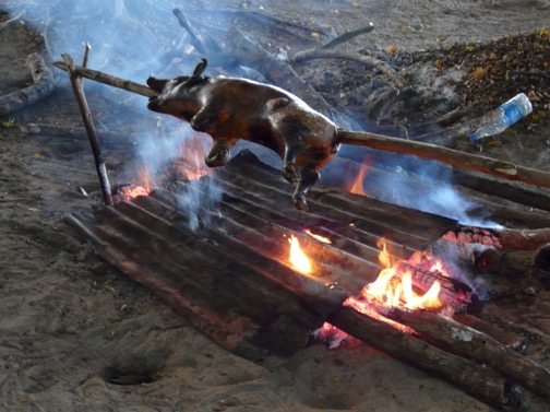 image3.JPG
