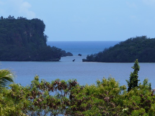 image1.JPG