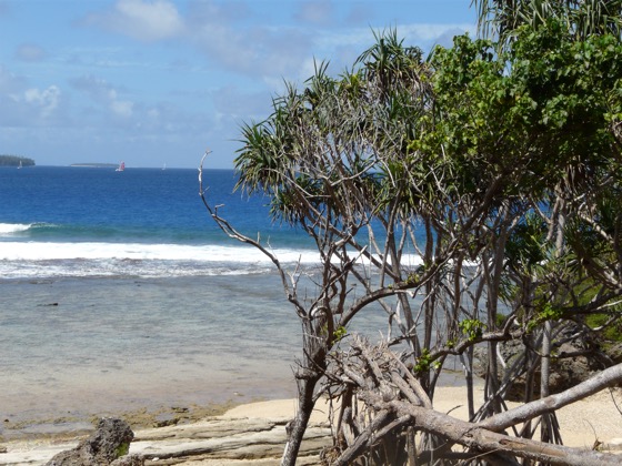 image2.JPG