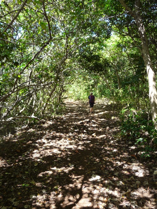 image4.JPG