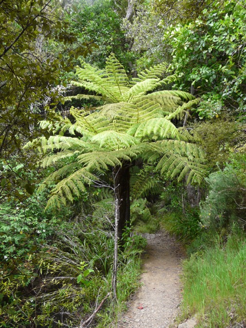 image4.JPG