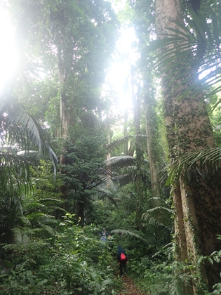 P5126592.jpg
