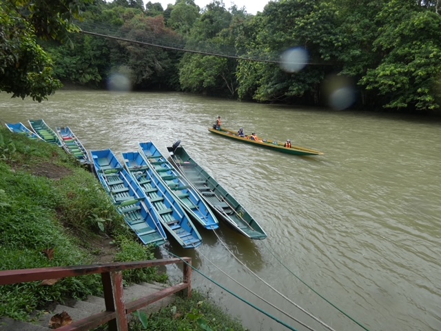 image3.jpeg
