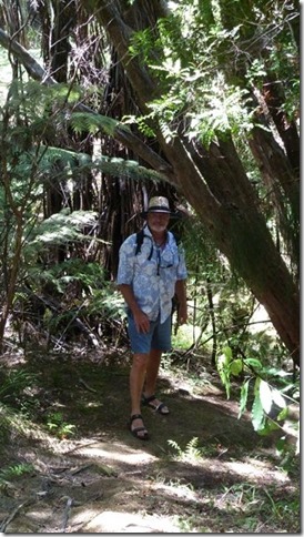 m_Whangamumu walk