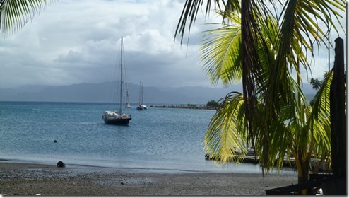m_Savusavu-cousteau resort 089