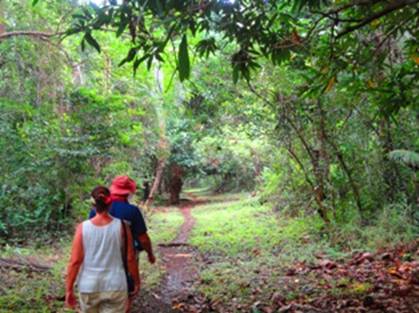 Walk in Panapompom.jpg