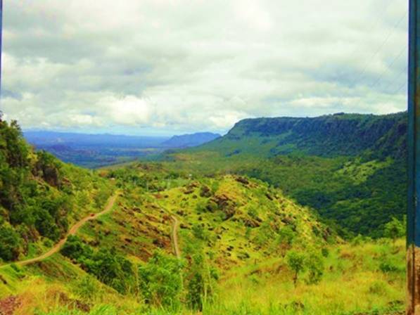 View from the top.jpg