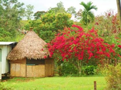 Thatch and flowers.jpg