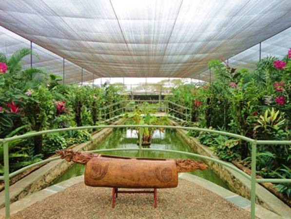 Orchid and Bird Sanctuary.jpg