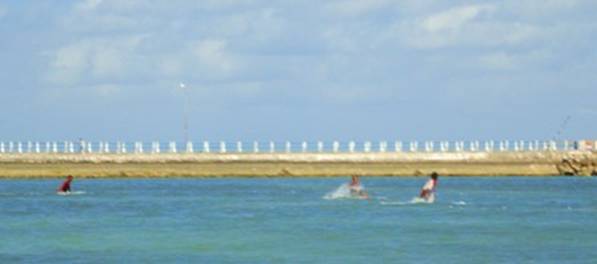 DSC02370 fishing net setting.jpg