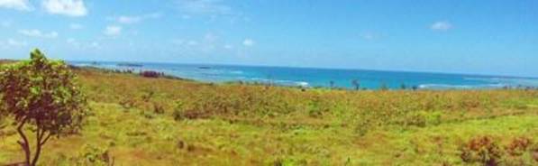 DSC02430 East Coast landscape.jpg