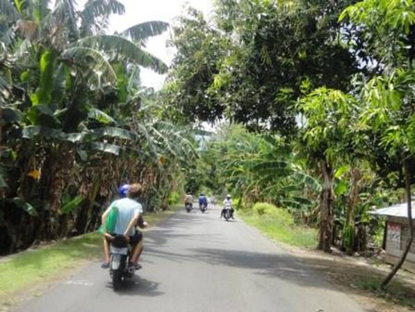 DSC03169 narrow road.jpg