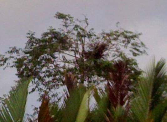 PICT0452.JPG
