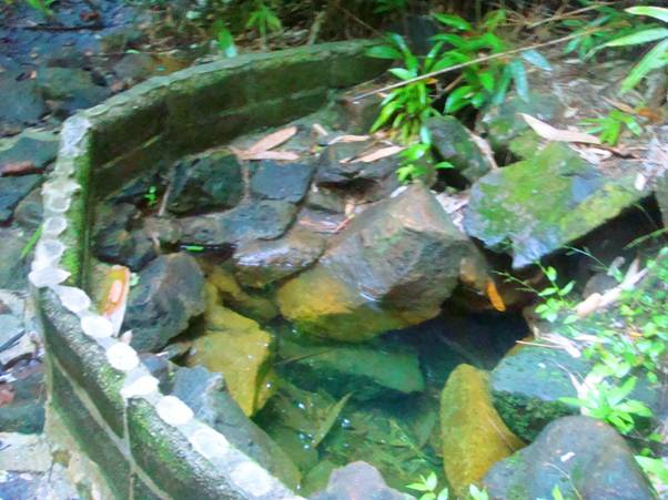 DSC07445.JPG