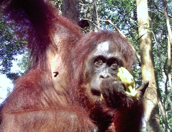 PICT0581.JPG