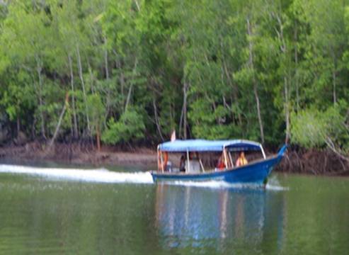 PA290228 Geoforest boat.JPG