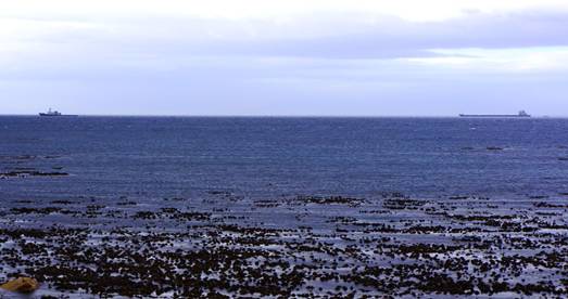 _DSC3101.JPG