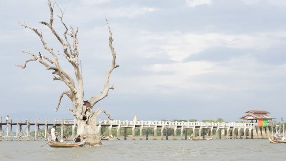m_1-1-_DSC9301.jpg