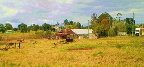 P8010102 Yangaraba farm.JPG