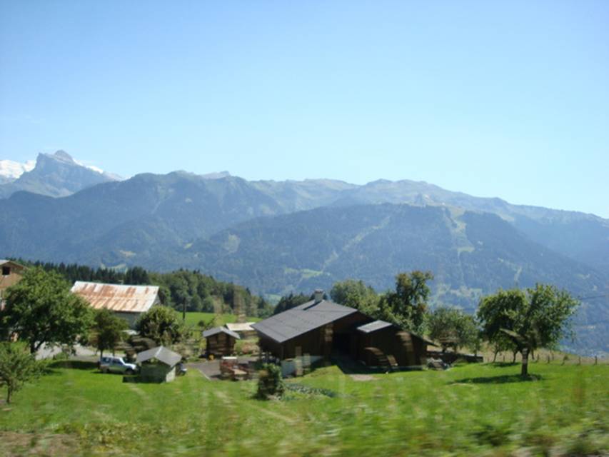 DSC04425