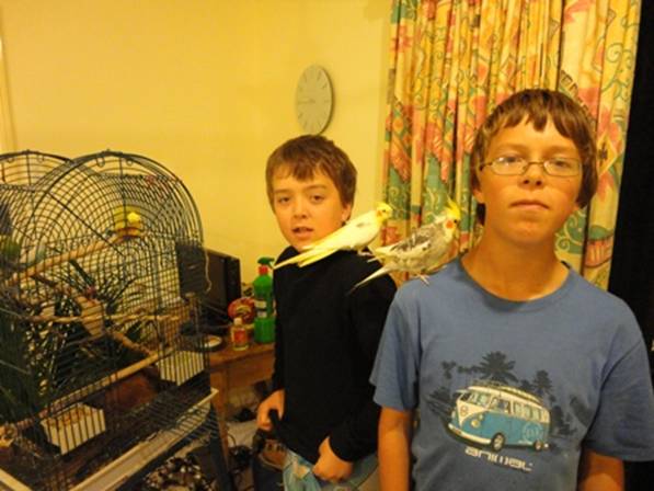 Hugo and George with Lorikeets.jpg
