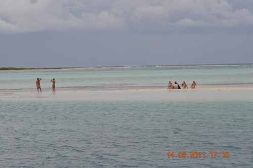 m_DSC_0594.jpg m_DSC_0594.jpg
