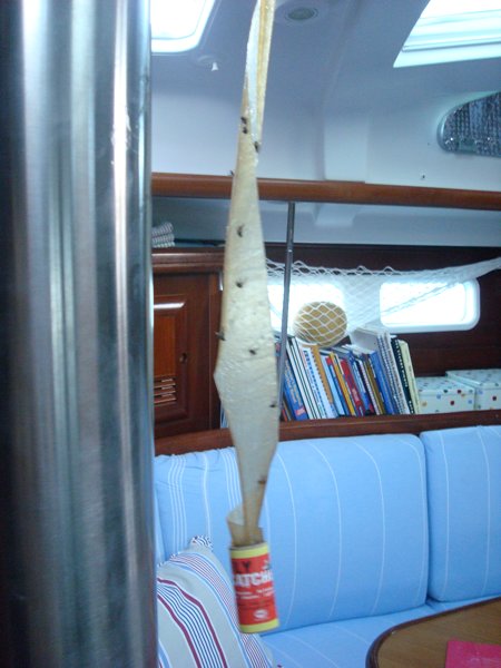 m_DSC06065.jpg