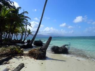 A dog lying on a sandy beach

Description automatically generated