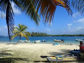 A group of people sitting on a sandy beach next to a palm tree

Description automatically generated