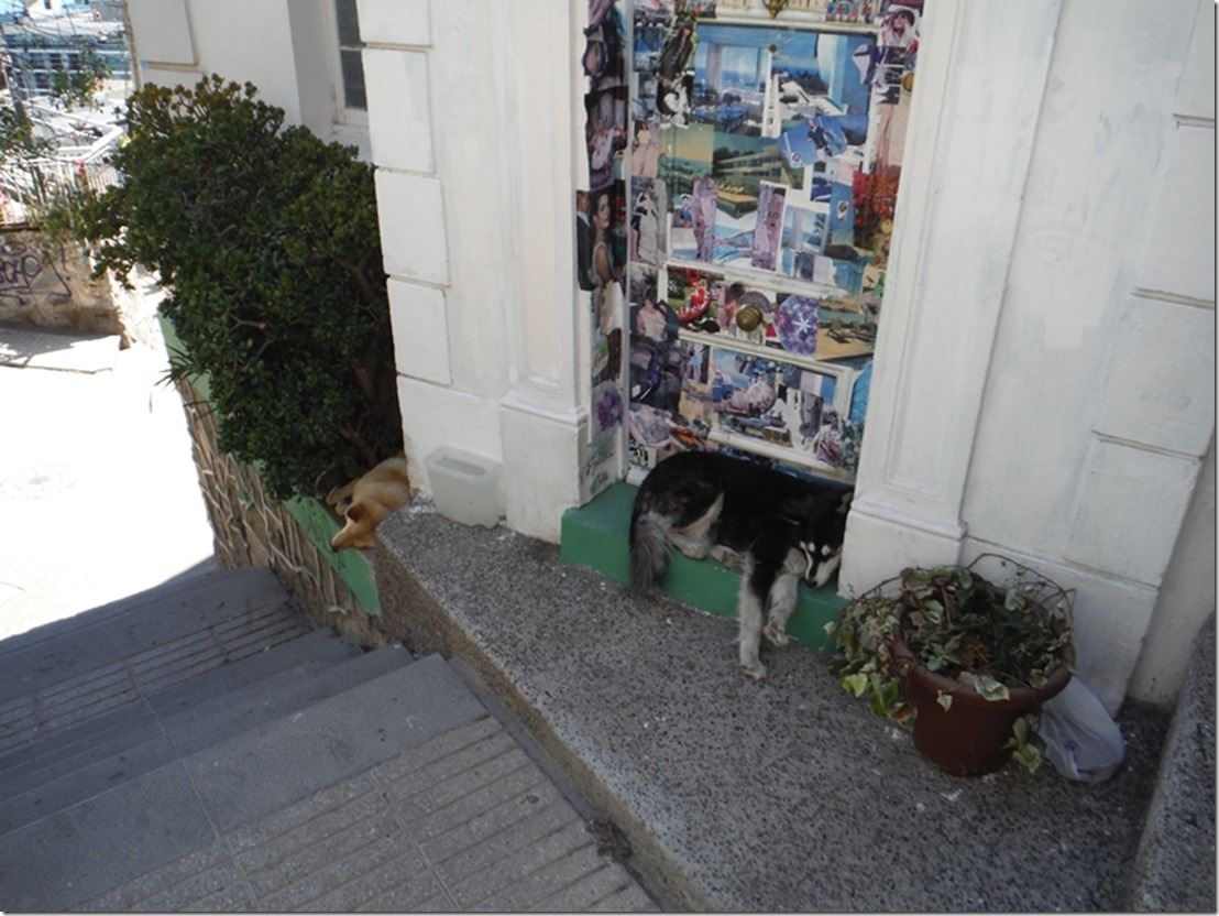 m_DSCF1563