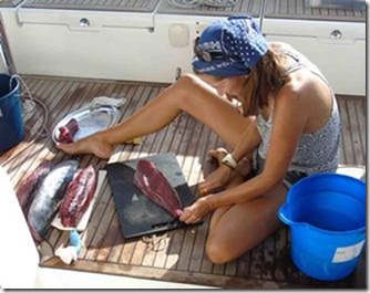 m_lucy fillet