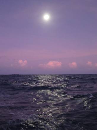 m_IMG_0023.jpg