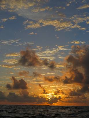 m_IMG_0476.jpg